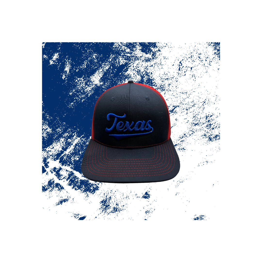 Texas Embroidered Snapback Hat