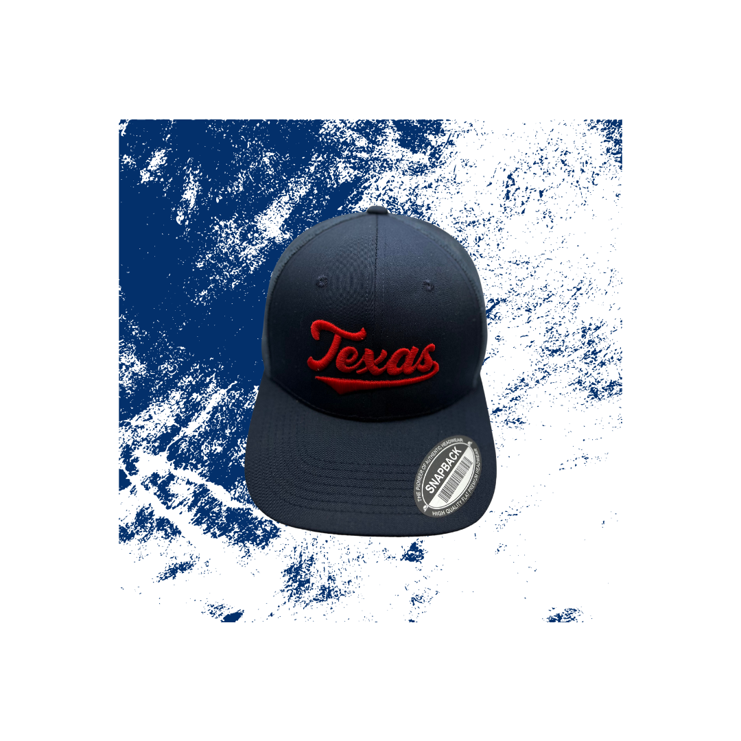 Texas Embroidered Snapback Hat