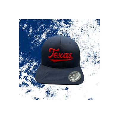 Texas Embroidered Snapback Hat