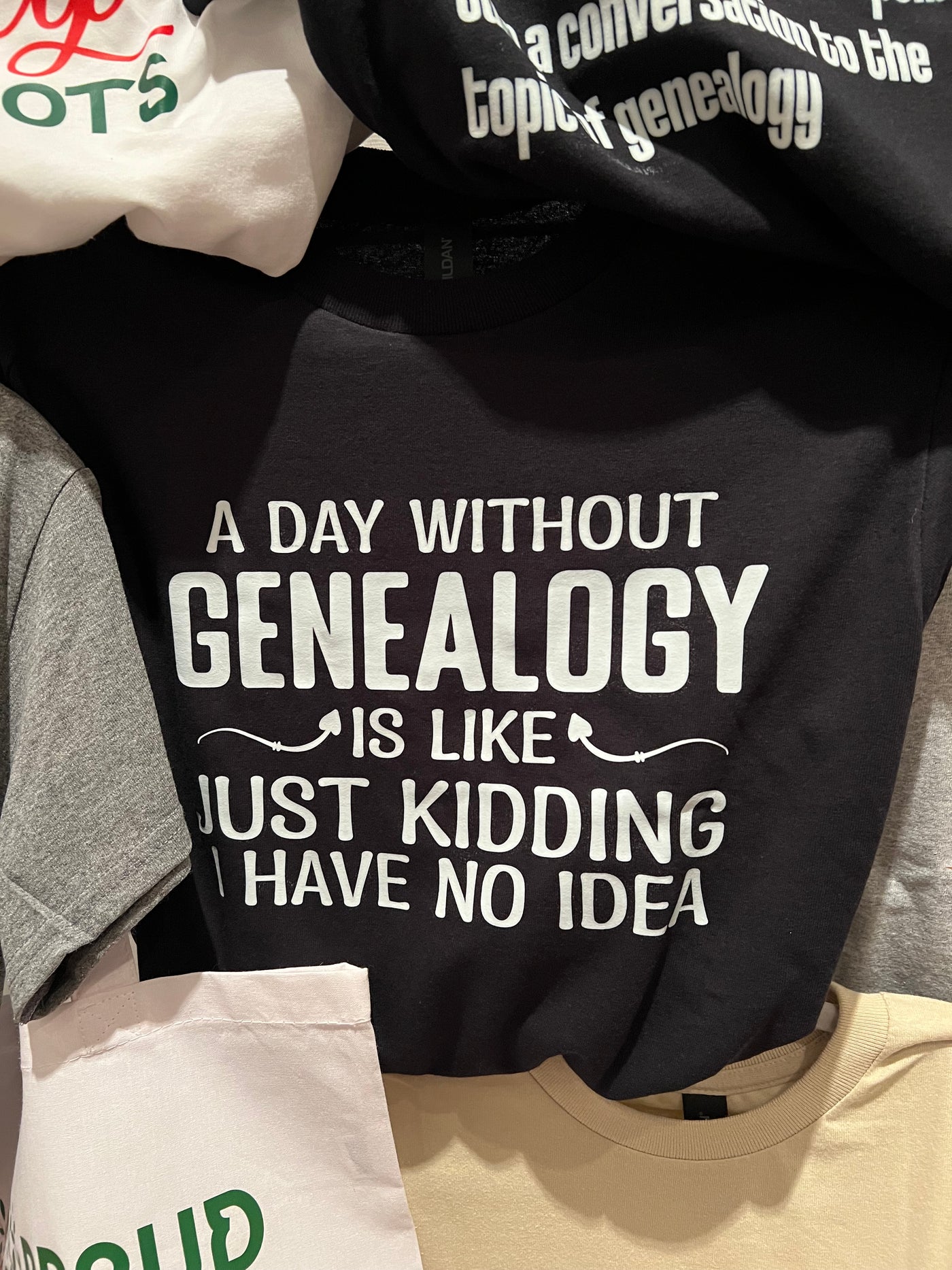 A Day without Genealogy T Shirt